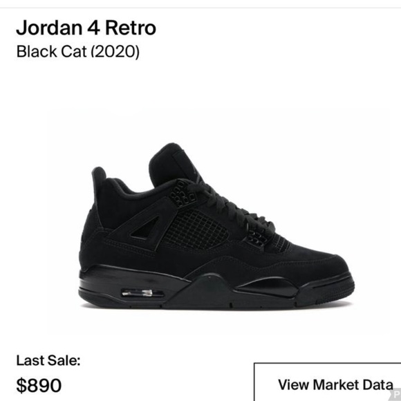 Jordan Other - Air Jordan 4 Retro